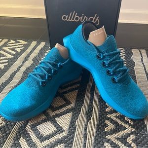 Wool Dasher Mizzle M13 Teal Pair of Shoes